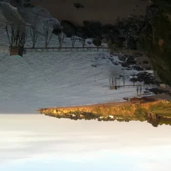 Liza - Rencontre Lesbienne à Echarlens Profil de Liza, 21 ans, Rencontre Lesbienne à Echarlens (Fribourg)