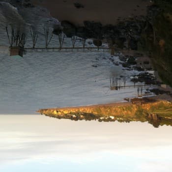 Albane Rencontre lesbienne Les Breuleux